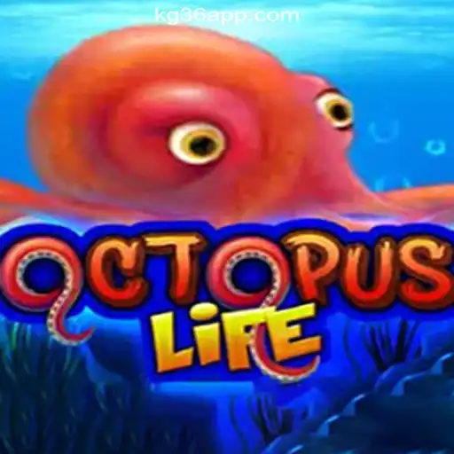 Diving into the World of OctopusLife and KG36.COM Online Casino Philippines